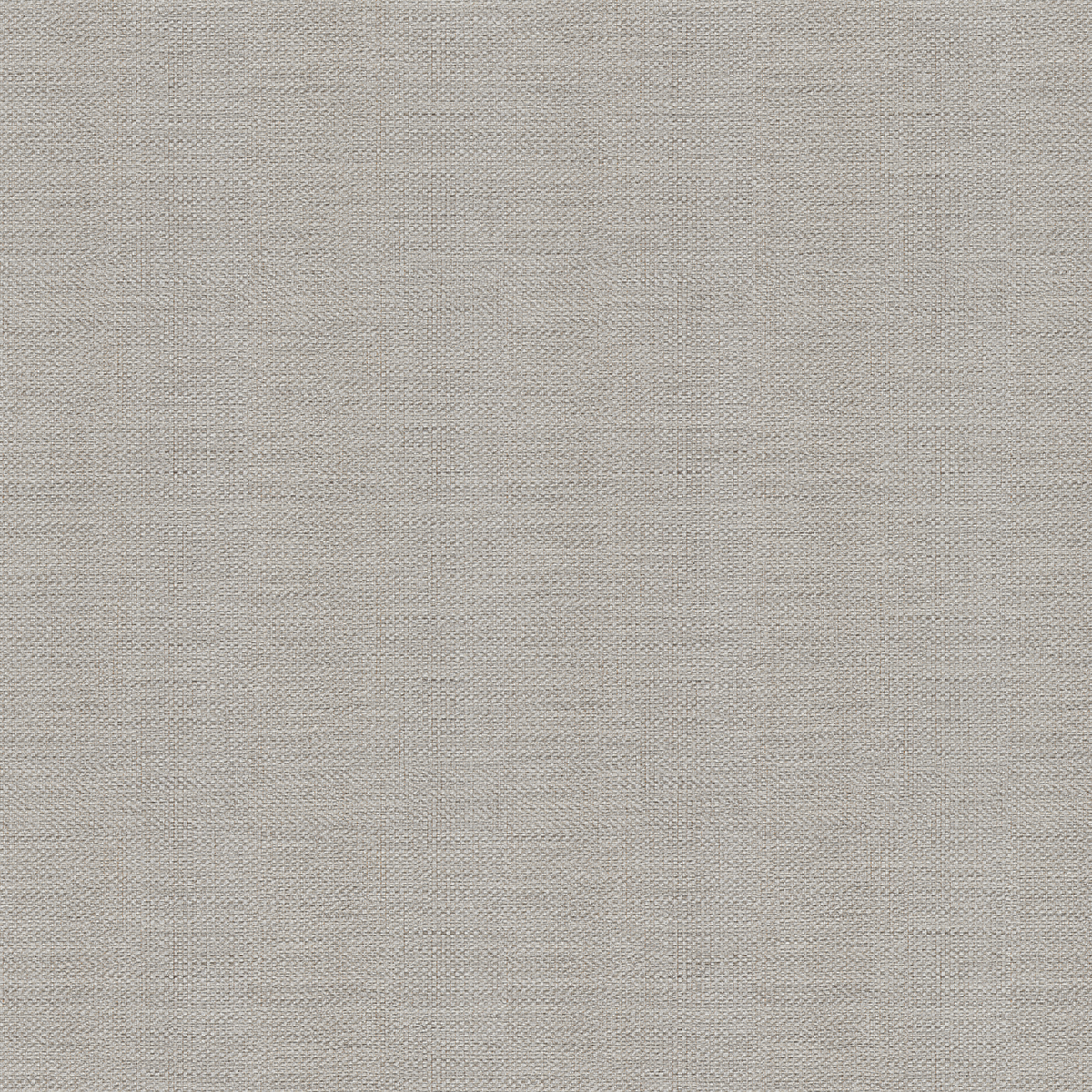 Pure Chai - CASAMONTE