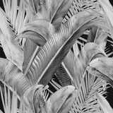 Enchanted Island - CASAMONTE