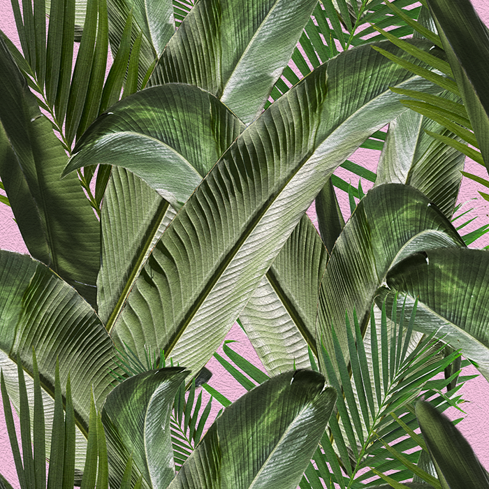 Enchanted Island - CASAMONTE