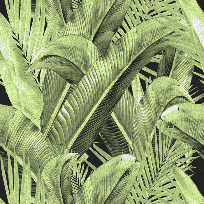 Enchanted Island - CASAMONTE