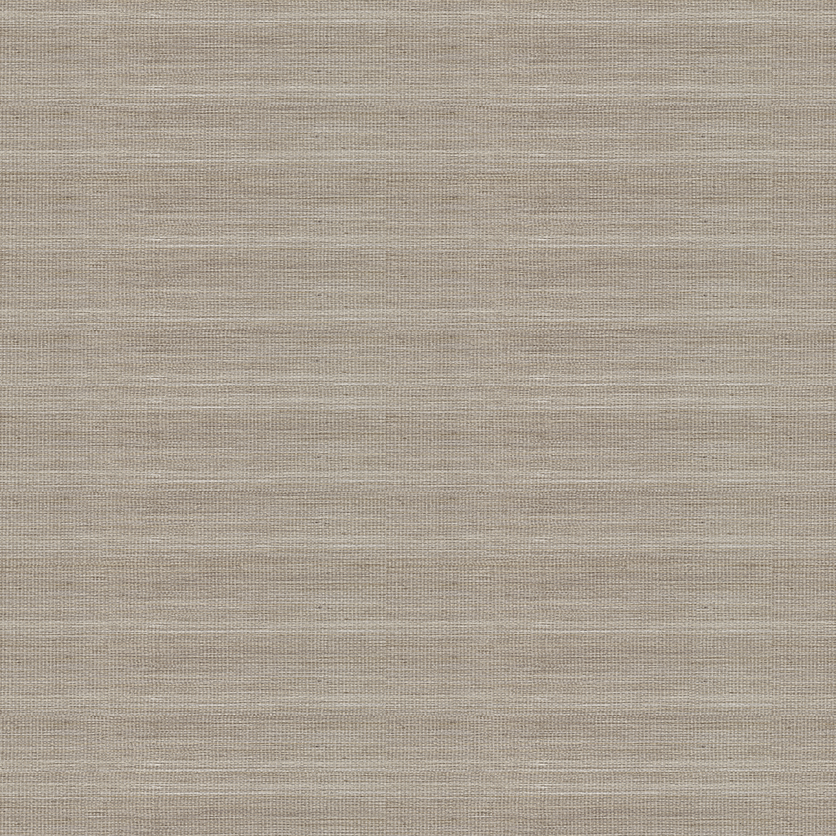 Pure Falling Brush - CASAMONTE