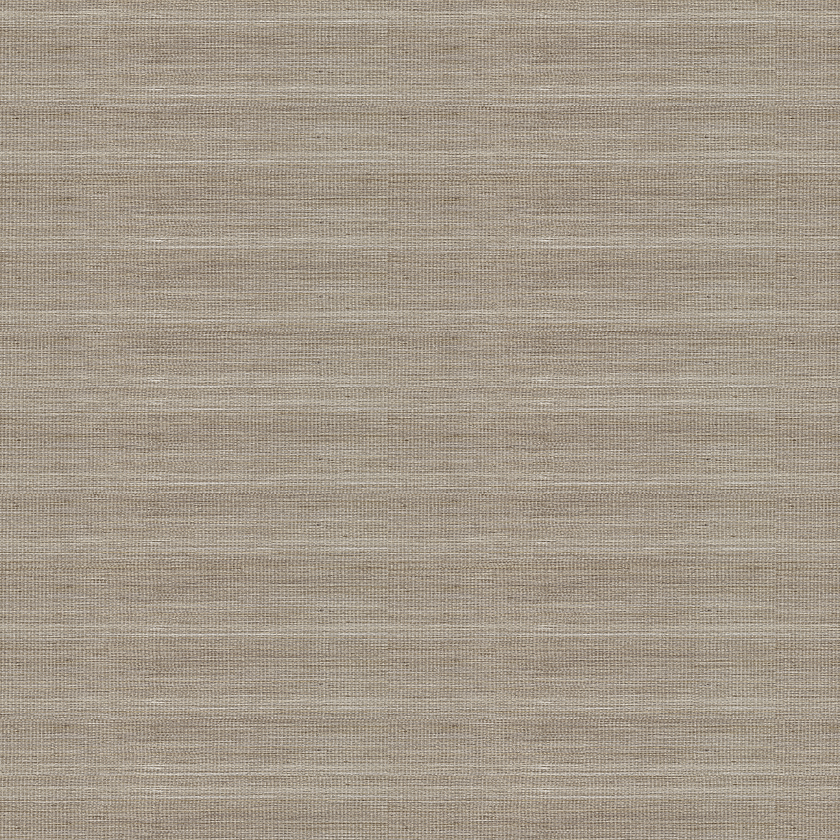 Pure Falling Brush - CASAMONTE