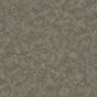 Stucco | Architectural Film - CASAMONTE