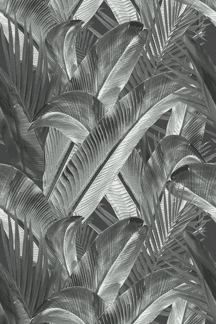 Enchanted Island - CASAMONTE