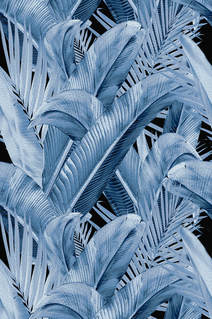 Enchanted Island - CASAMONTE