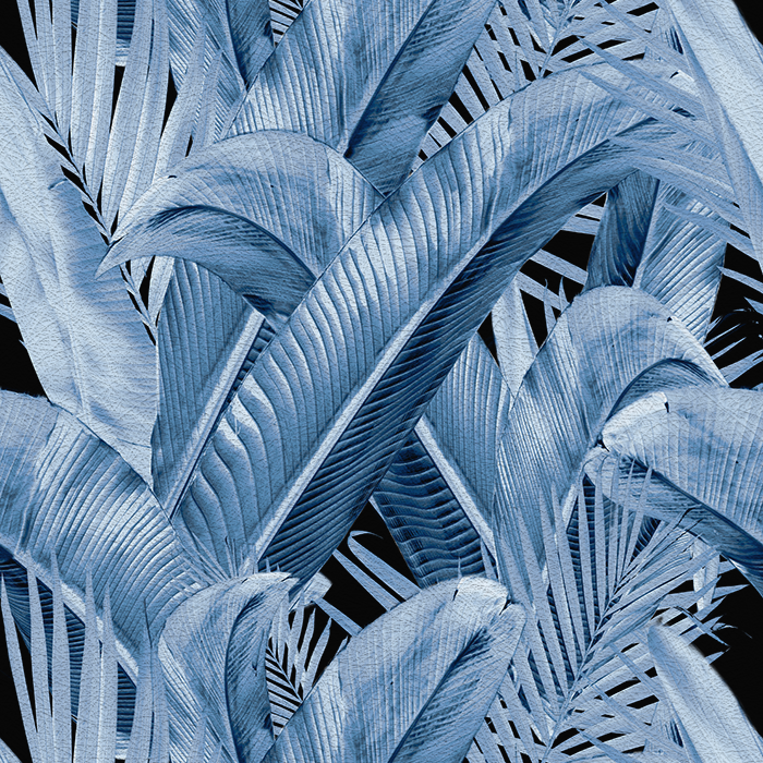 Enchanted Island - CASAMONTE