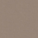Stucco | Architectural Film - CASAMONTE