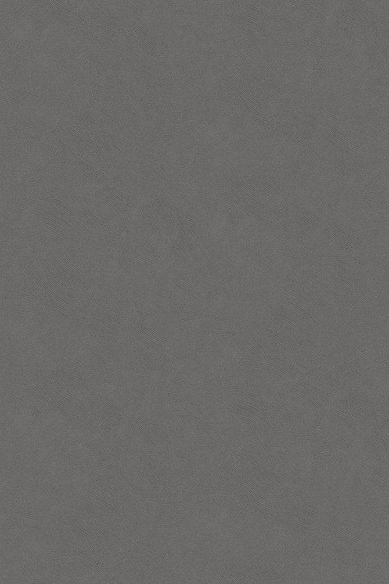 Stucco | Architectural Film - CASAMONTE