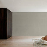 tintstone - CASAMONTE