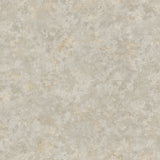 Pietra Serenissima - CASAMONTE