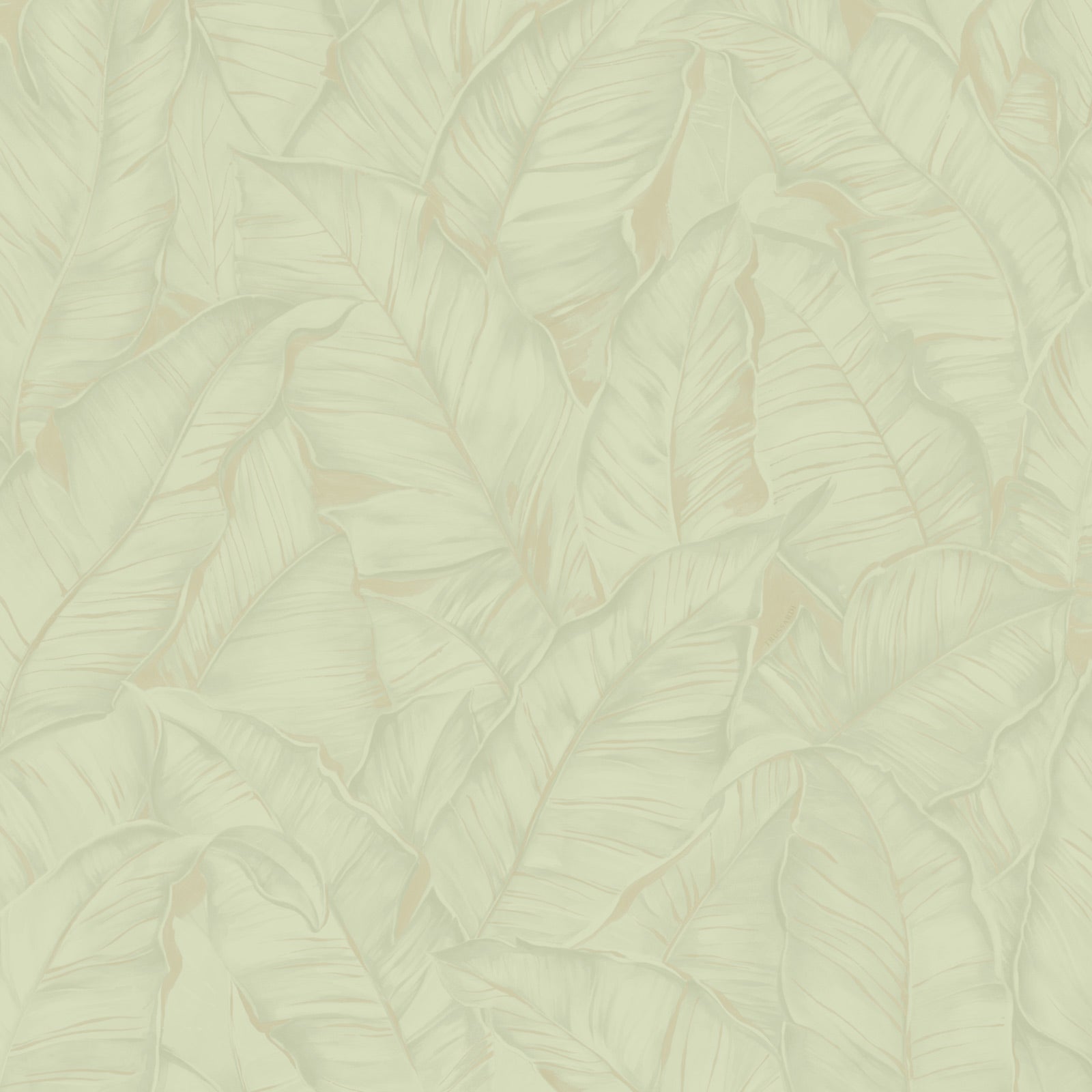 Botanical Escape - CASAMONTE