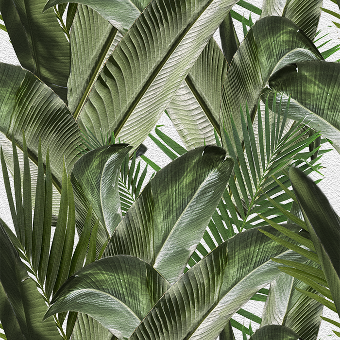 Enchanted Island - CASAMONTE