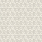 Sono Cavalli. - CASAMONTE