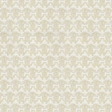 Sono Cavalli. - CASAMONTE