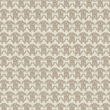 Sono Cavalli. - CASAMONTE