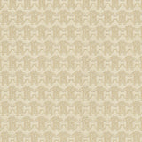 Sono Cavalli. - CASAMONTE