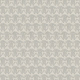 Sono Cavalli. - CASAMONTE