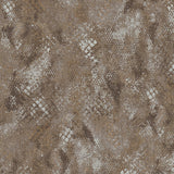 Écailles - CASAMONTE