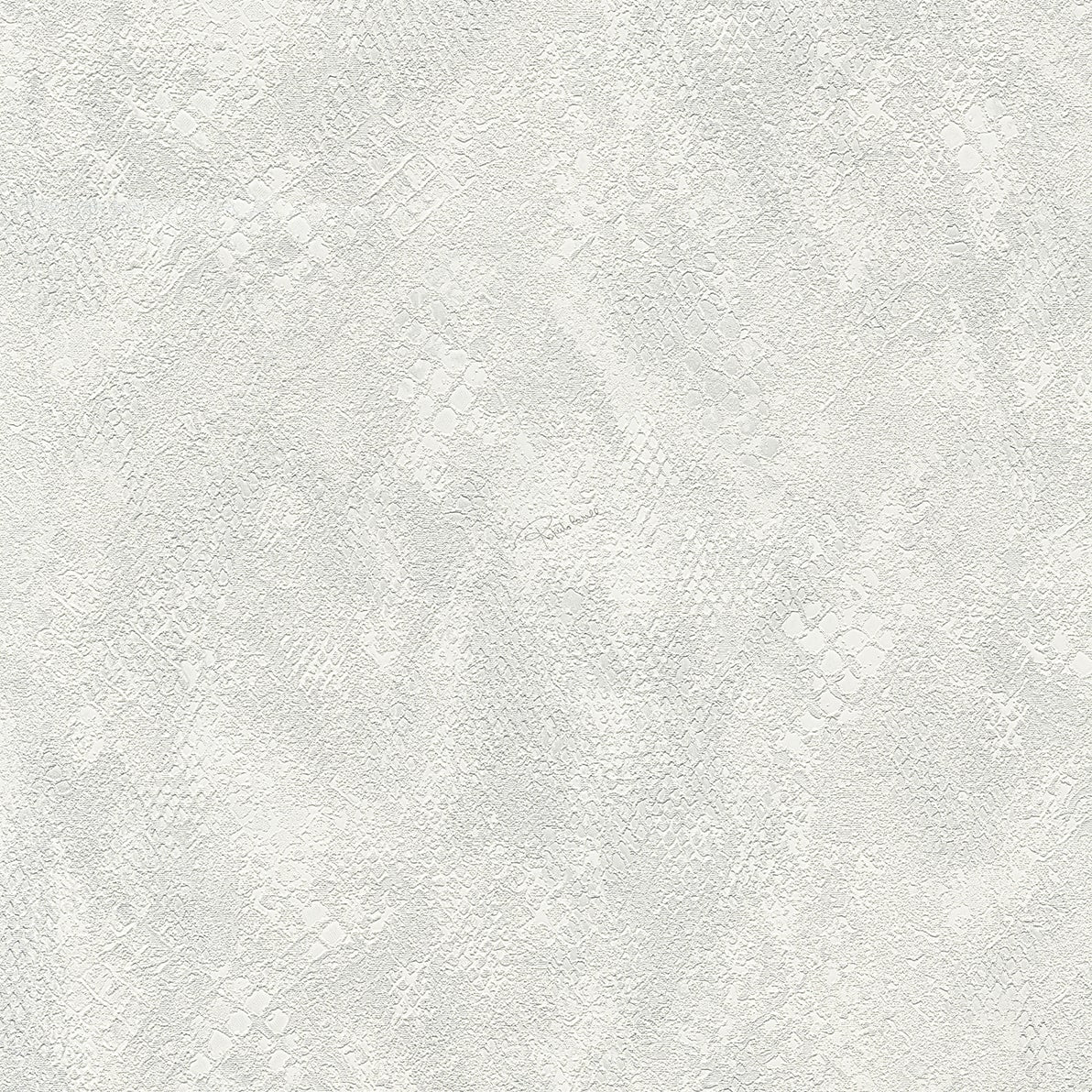 Écailles - CASAMONTE