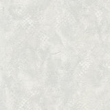 Écailles - CASAMONTE